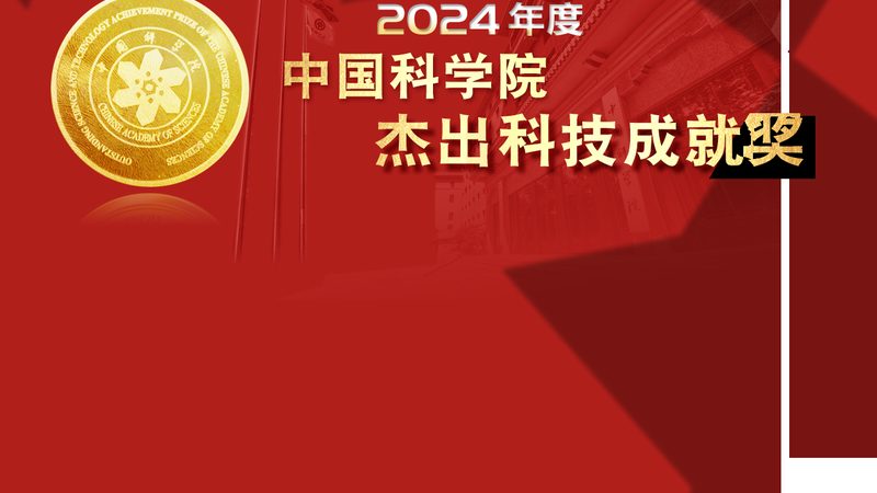 软件技术外包开发公司排名：揭秘行业选择标准