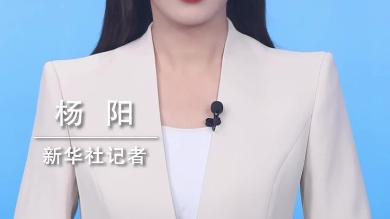 远程研发外包团队管理规范：构建高效协作的桥梁**